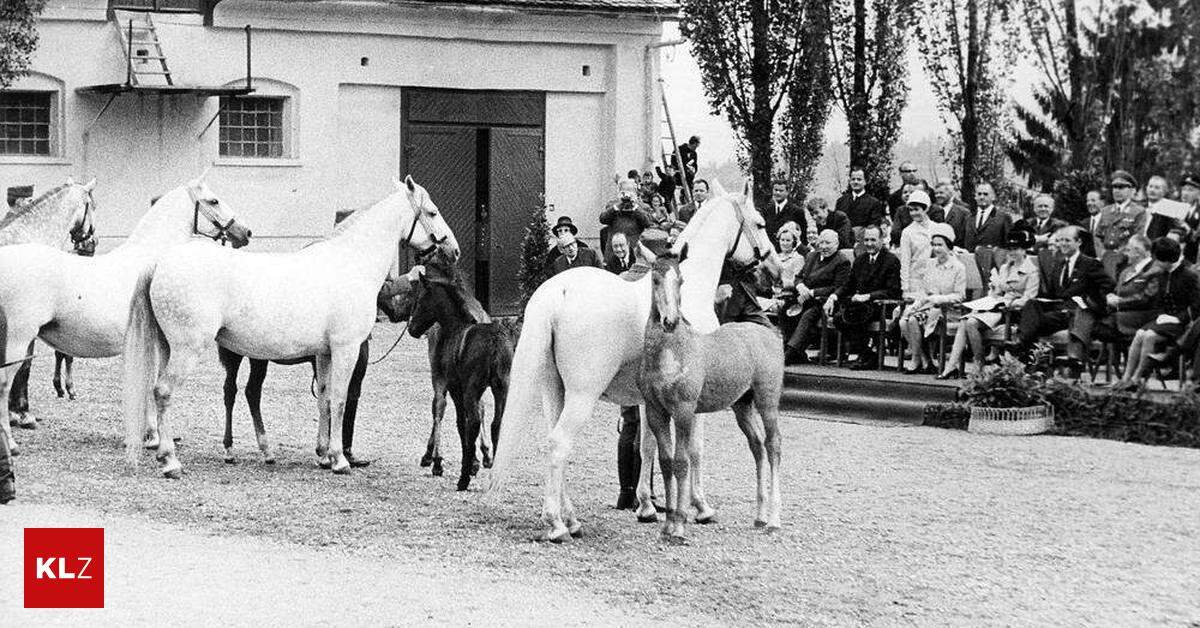 120 Jahre Kleine Zeitung: „Kleine“-Leser Erinnern Sich An Große Momente ...